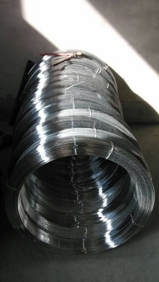 Oval Hot_dipped Galvanized Steel Wire